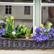 How To Plant A Patio Pot With Bulbs